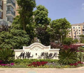 ����.���m����